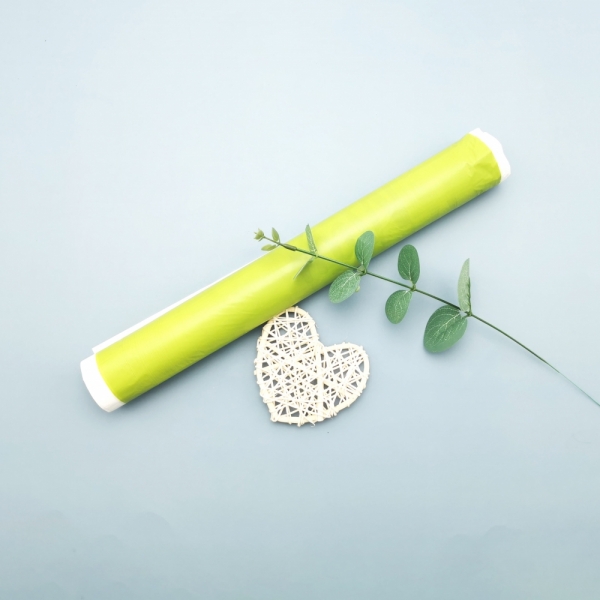 Biodegradable Food or Vegetable Carry bag 