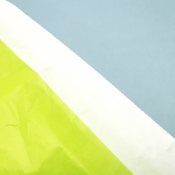 Biodegradable Food or Vegetable Carry bag 