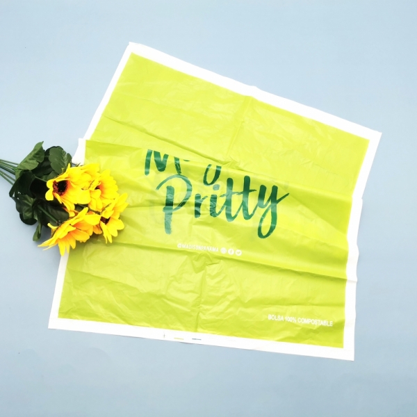 Biodegradable Food or Vegetable Carry bag 