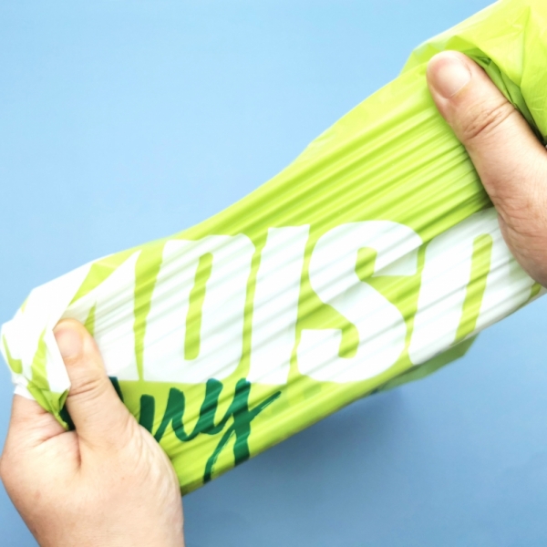 Biodegradable Food or Vegetable Carry bag 